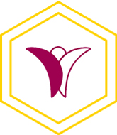 大韓整形外科醫(yī)師協(xié)會(huì)logo